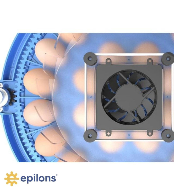 80/240 Kapasiteli Çift Viyollü Kuluçka Makinesi Kaz Ördek Tavuk Bıldırcın Kuşlar İçin ( Lisinya )