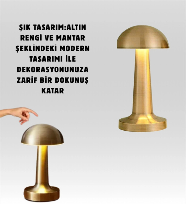 %100 Kademeli Ayarlanabilir Işık – USB Şarjlı Masa Lambası ( Lisinya )