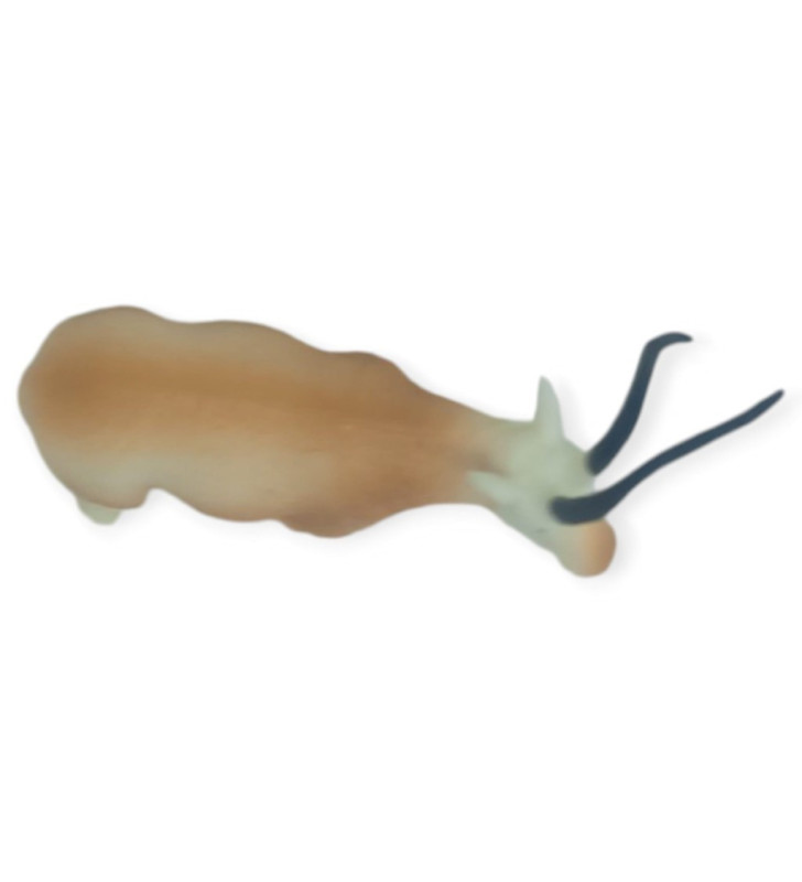 Hayvan Figürleri - Vahşi Hayvanlar 10 cm - Geyik (Lisinya)