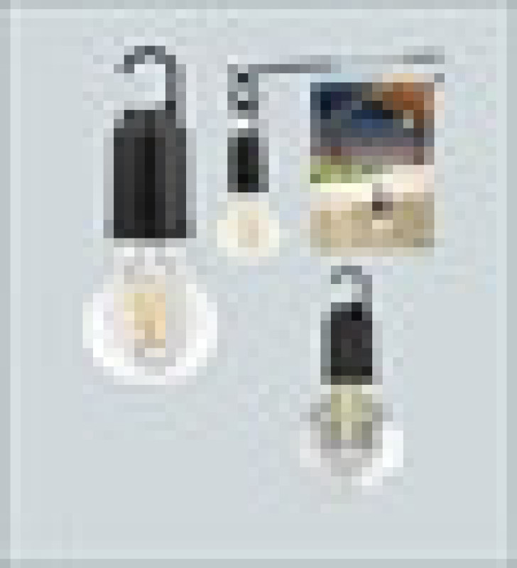 Çok Yönlü Asma Kancalı Kamp Işığı ( Lisinya )