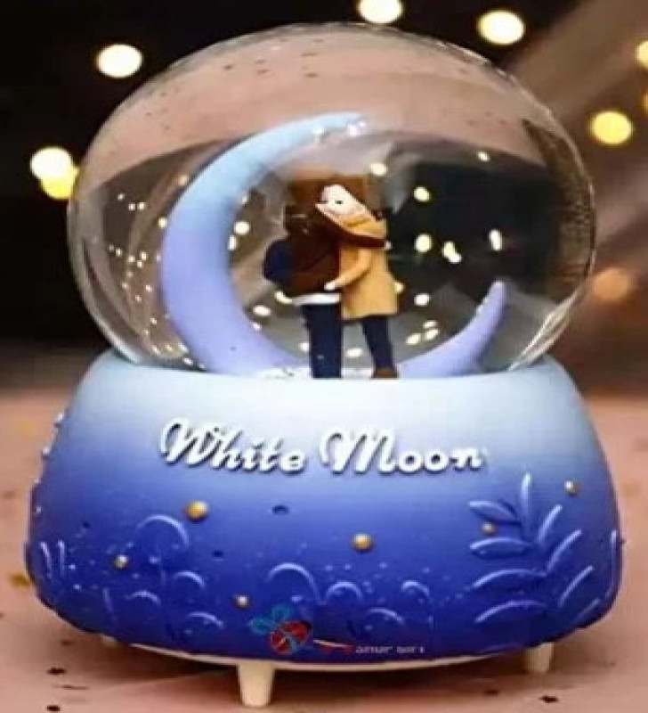 Kar Küresi Orta Boy Wy20k08 - Lisinya