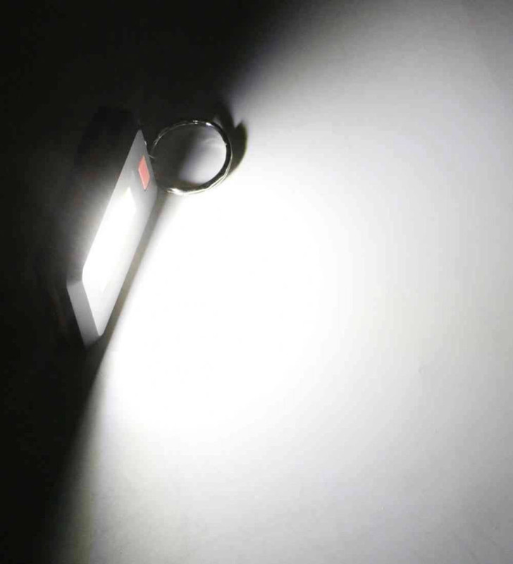 Ortam Aydınlatan 350 Lümen Anahtarlık Wt-377 - Lisinya