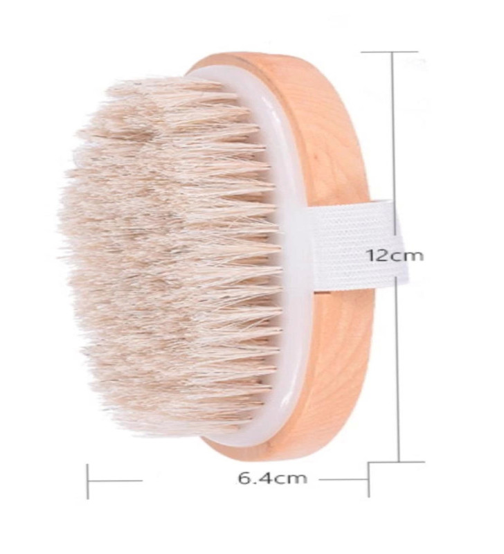Parlak ve Pürüzsüz Görünüm Sağlayan %100 Doğal At Kılı Selülit Fırçası (özel Kutulu)