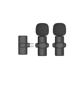 Kablosuz Yaka Mikrofonu Typ-c 2’li Mini Mikrofon - Lisinya