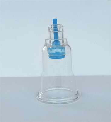 3 Numara Hacamat Kupası - Lisinya