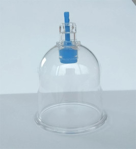 5 Numara Hacamat Kupası - Lisinya