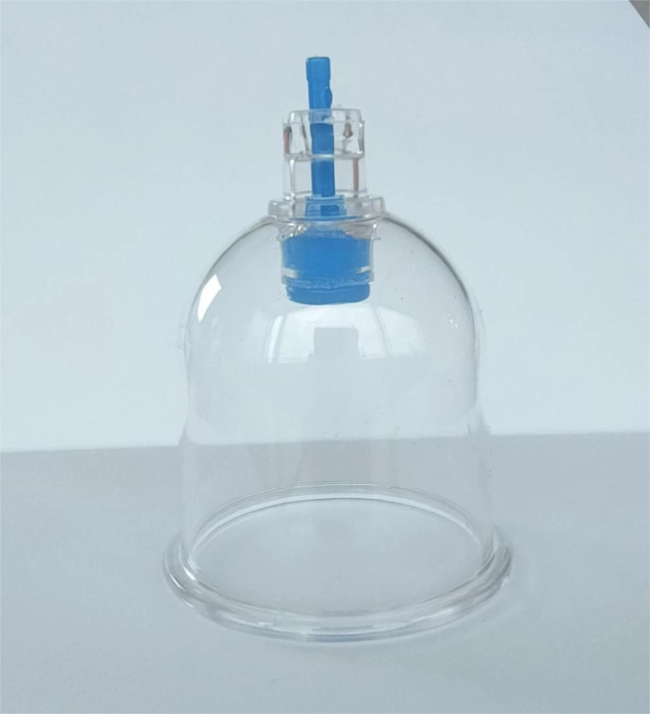 5 Numara Hacamat Kupası - Lisinya