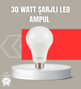 30W Şarjlı LED Ampul E27 Duy %80 Enerji Tasarruflu Soğuk Beyaz - Lisinya