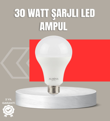 30W Şarjlı LED Ampul E27 Duy %80 Enerji Tasarruflu Soğuk Beyaz - Lisinya