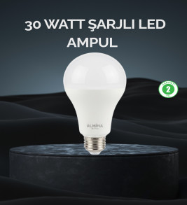 Şarjlı LED Ampul 30 Watt Soğuk Beyaz - Lisinya