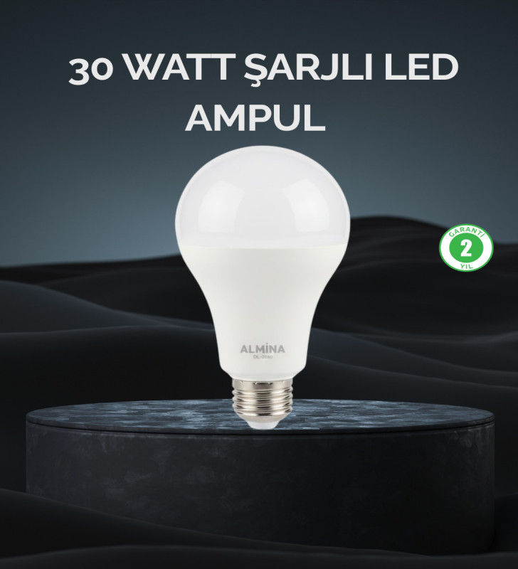 Şarjlı LED Ampul 30 Watt Soğuk Beyaz - Lisinya