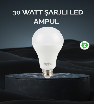 Şarjlı LED Ampul 30 Watt Soğuk Beyaz - Lisinya