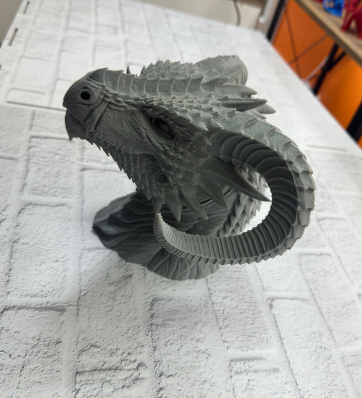 Ejderha Biblo - Lisinya