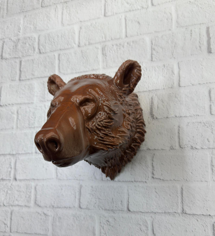 KAHVERENGİ AYI - Lisinya