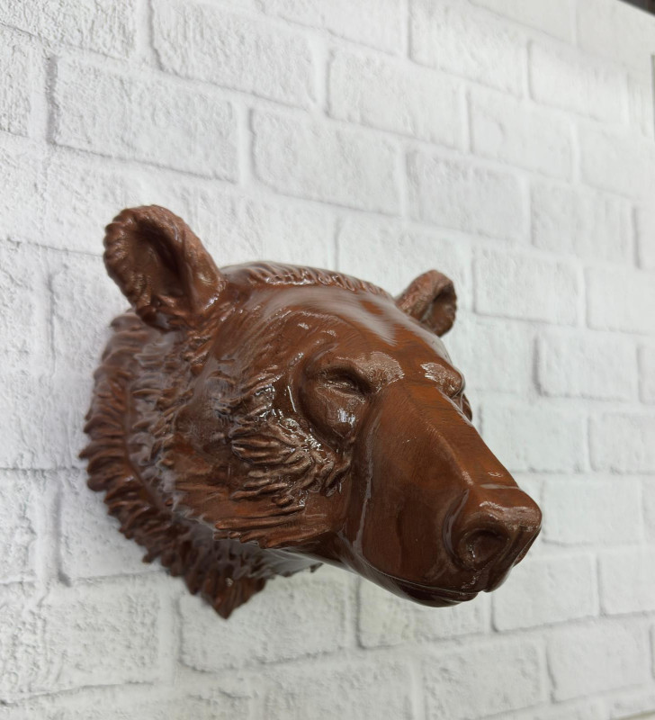 KAHVERENGİ AYI - Lisinya