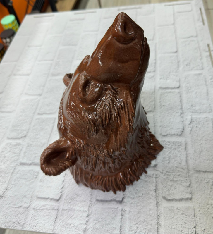 KAHVERENGİ AYI - Lisinya