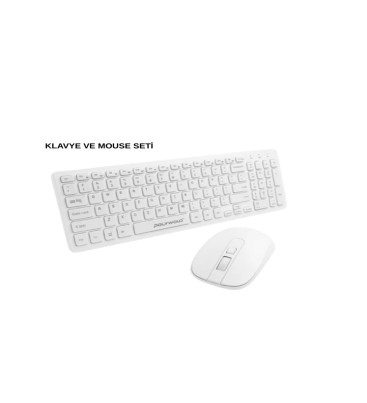 PG-8040 KLAVYE VE MOUSE SETİ - Lisinya