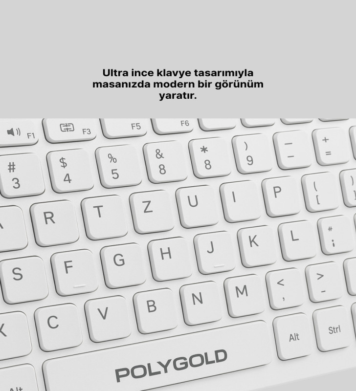 PG-8040 KLAVYE VE MOUSE SETİ - Lisinya