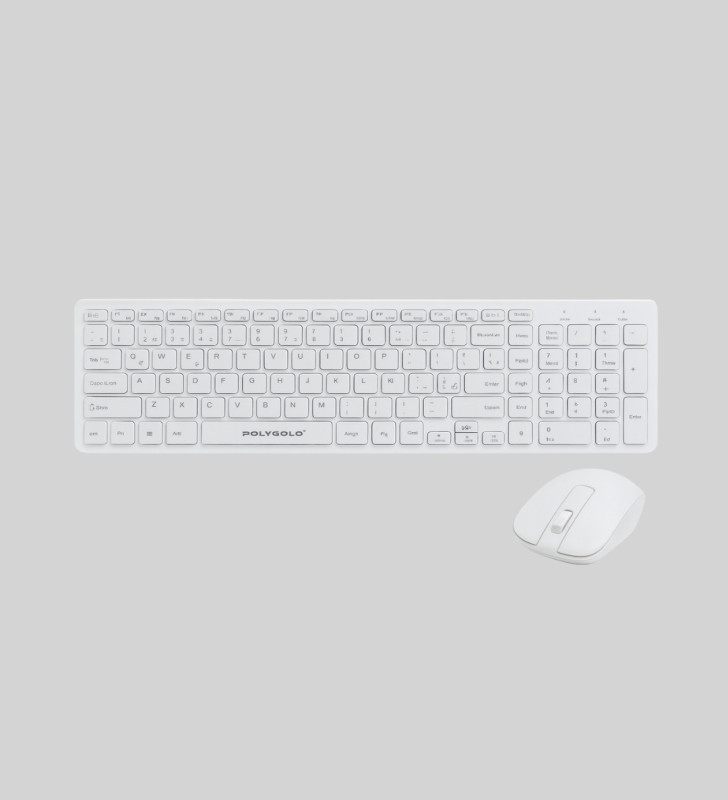 PG-8040 KLAVYE VE MOUSE SETİ - Lisinya