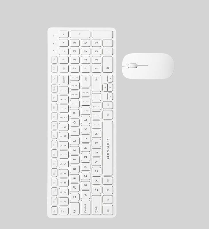 PG-8040 KLAVYE VE MOUSE SETİ - Lisinya