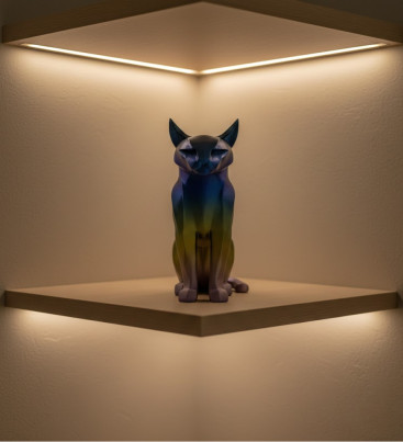 KOYU RAİNBOW KEDİ - Lisinya