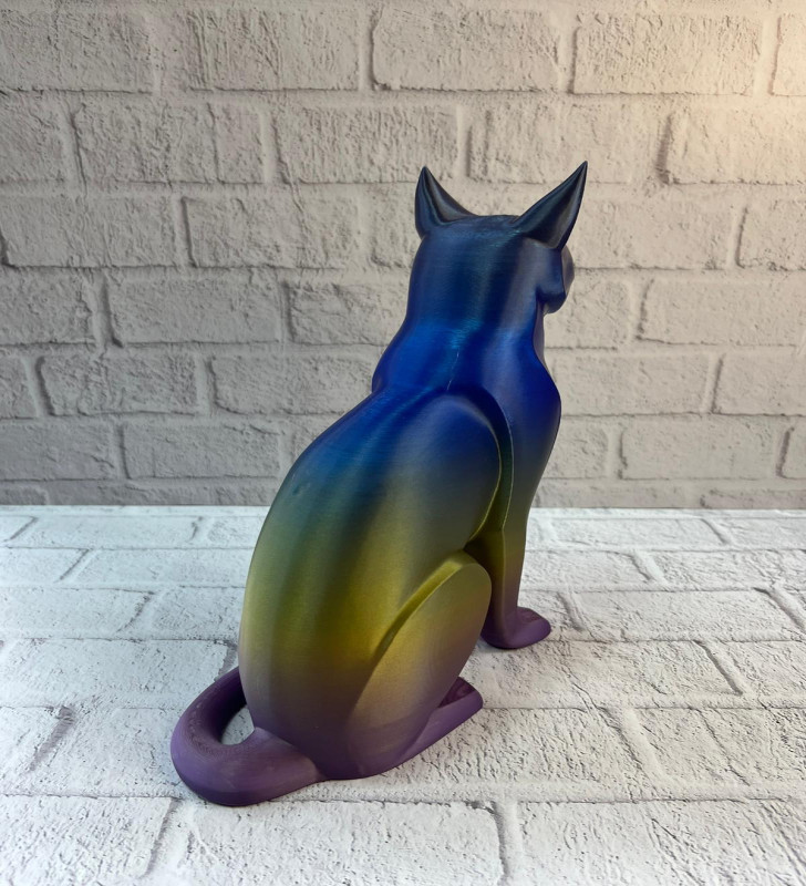 KOYU RAİNBOW KEDİ - Lisinya