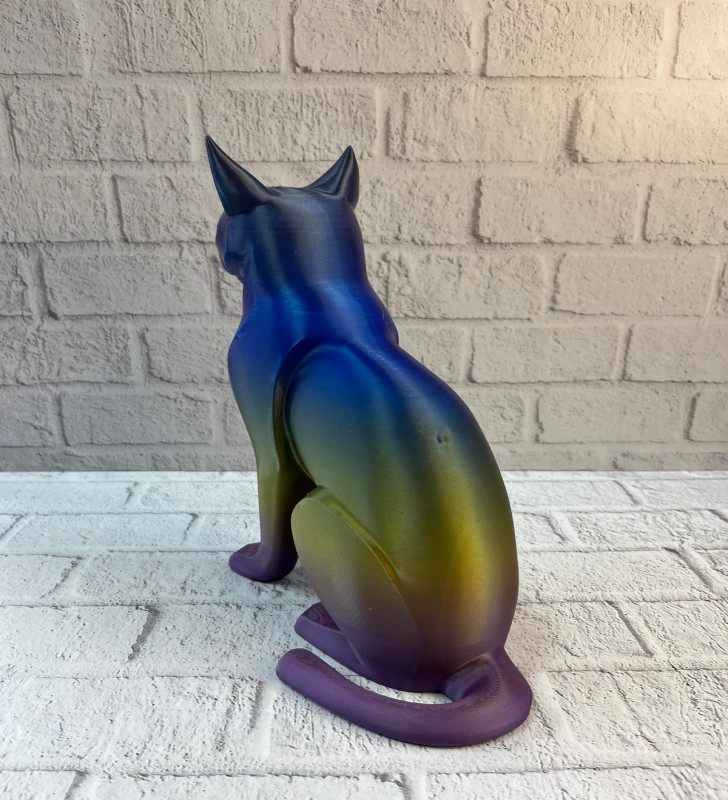 KOYU RAİNBOW KEDİ - Lisinya