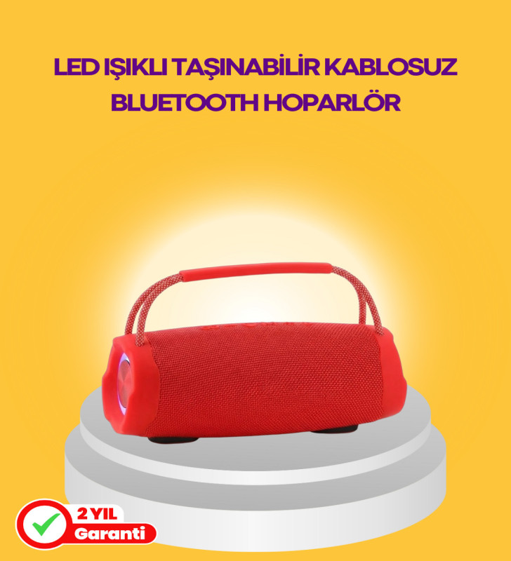 10W Güçlü Stereo Ses Sunan IPX6 Bluetooth Hoparlör - Lisinya