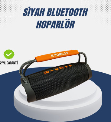 10W Çift Çıkış Güçlü Bluetooth Hoparlör Eller Serbest - Lisinya