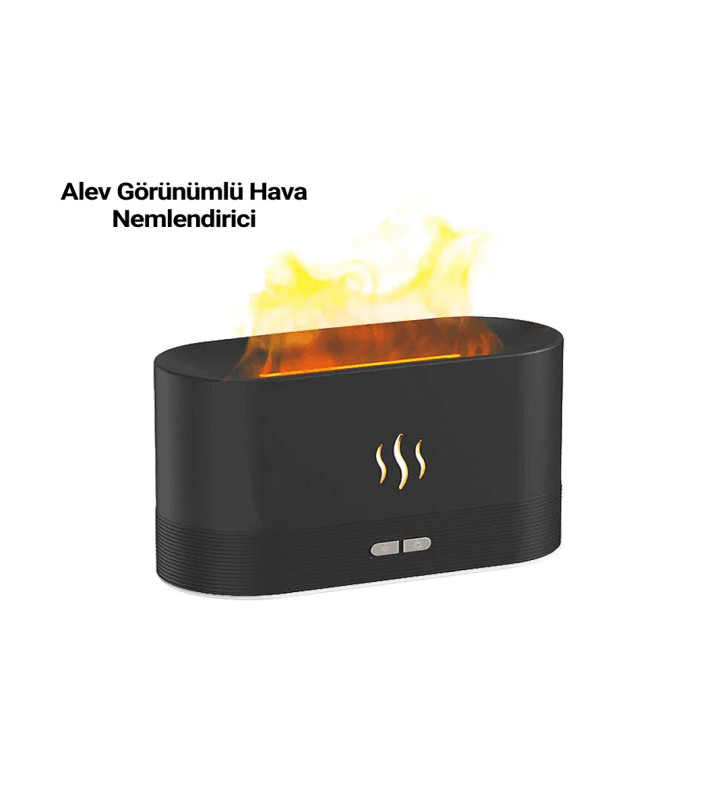 SL169 NEMLENDİRİCİ - Lisinya