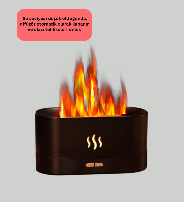 SL169 NEMLENDİRİCİ - Lisinya