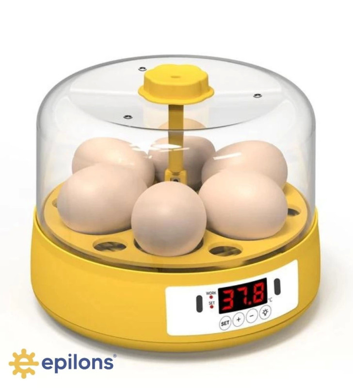 Mini Otomatik Ev Tipi Kuluçka: Elektrikli Tavuk ve Kuş Kuluçka Makinesi 6 Yumurtalı MX-6 ( Lisinya )