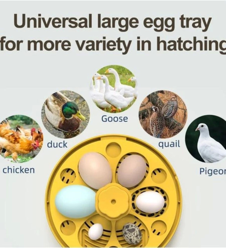 Mini Otomatik Ev Tipi Kuluçka: Elektrikli Tavuk ve Kuş Kuluçka Makinesi 6 Yumurtalı MX-6 ( Lisinya )