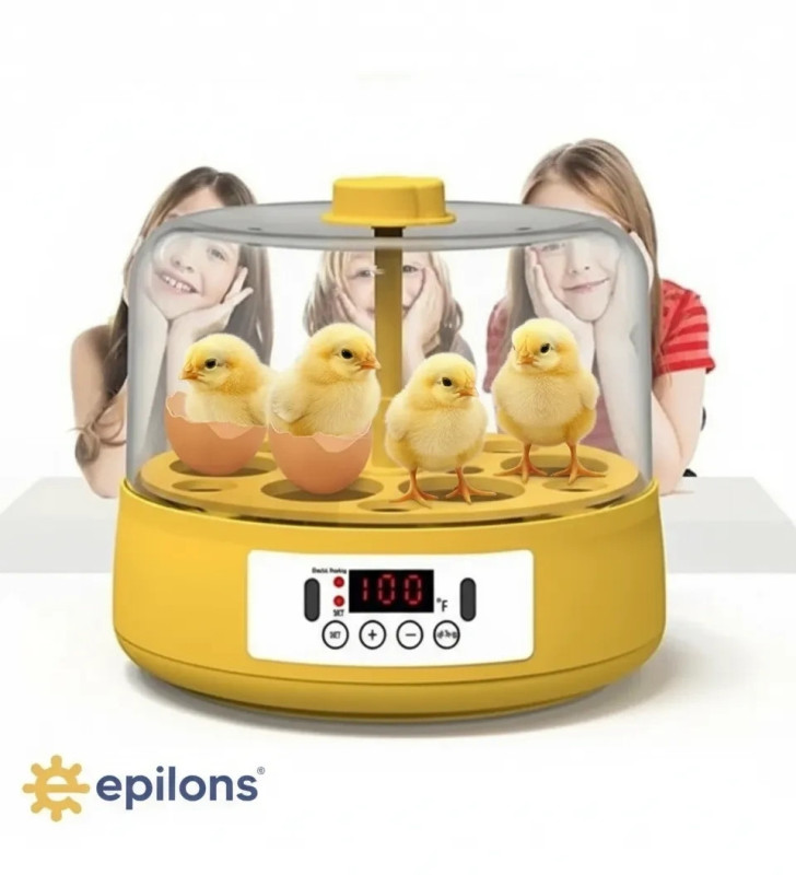 Mini Otomatik Ev Tipi Kuluçka: Elektrikli Tavuk ve Kuş Kuluçka Makinesi 6 Yumurtalı MX-6 ( Lisinya )