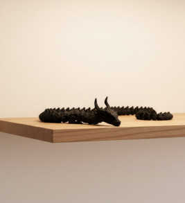 SİYAH HAREKETLİ EJDERHA - Lisinya