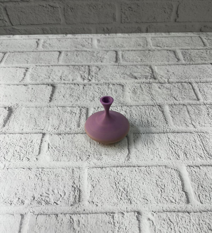 MİNİ RAİNBOW VAZO - Lisinya