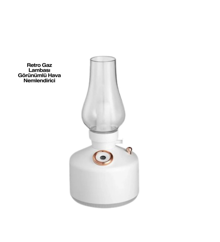 0621 LAMBA NEMLENDİRİCİ - Lisinya