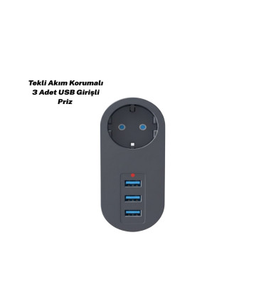 3400 PRİZ - Lisinya