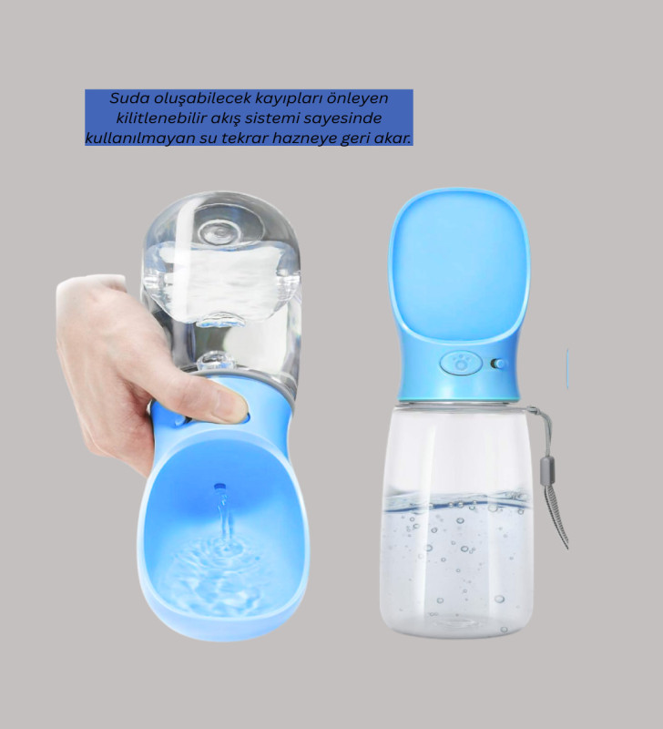 KÖPEK SULUĞU - Lisinya