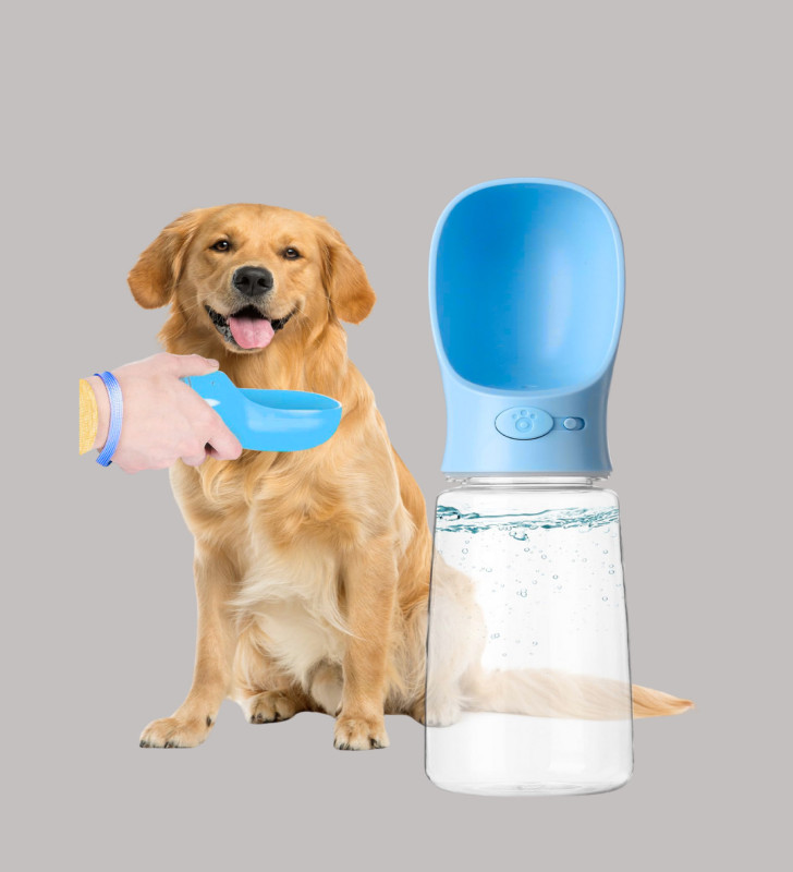 KÖPEK SULUĞU - Lisinya