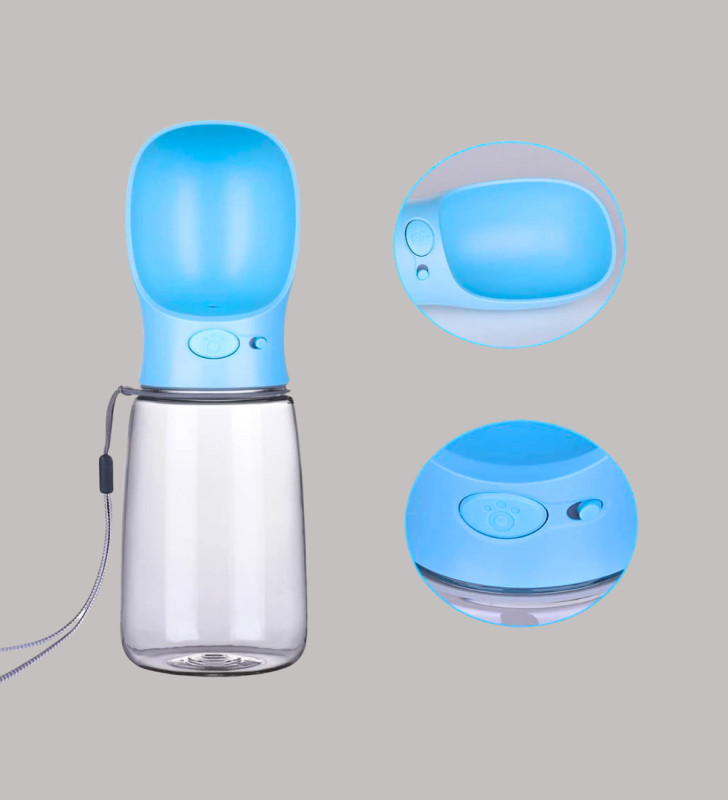 KÖPEK SULUĞU - Lisinya