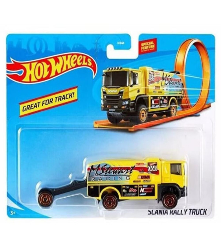 Hot Wheels Kamyonlar - BFM60 (Lisinya)