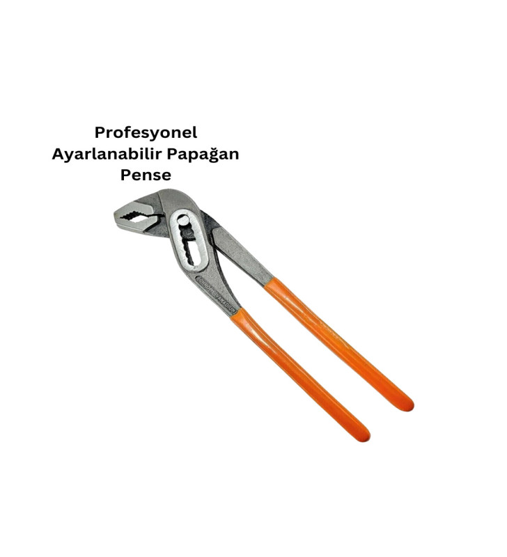 AYARLI PENSE - Lisinya