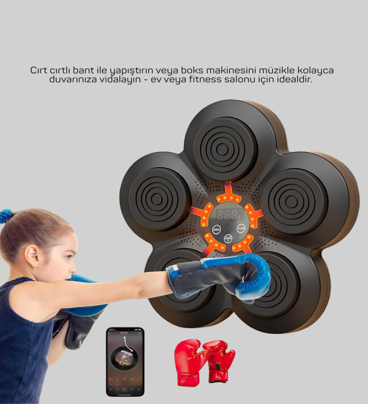 MÜZİK BOX MAKİNESİ - Lisinya