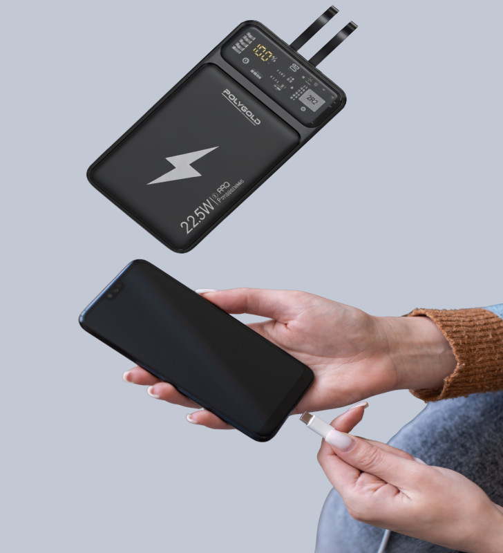 Powerbank Dahili Ekranlı 10000 mAh Çift Kablolu - Lisinya