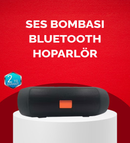 Bluetooth Hoparlör 20W Bass Güçlü Ses USB Flash AUX Destekli - Lisinya