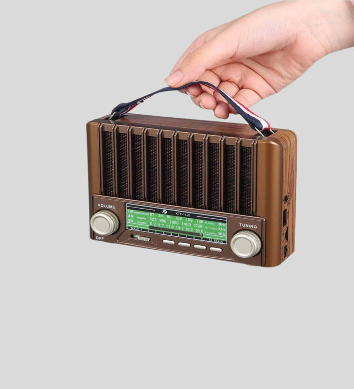 Taşınabilir Hoparlör Güneş Panelli Bluetooth USB SD FM AM SW Radyo - Lisinya