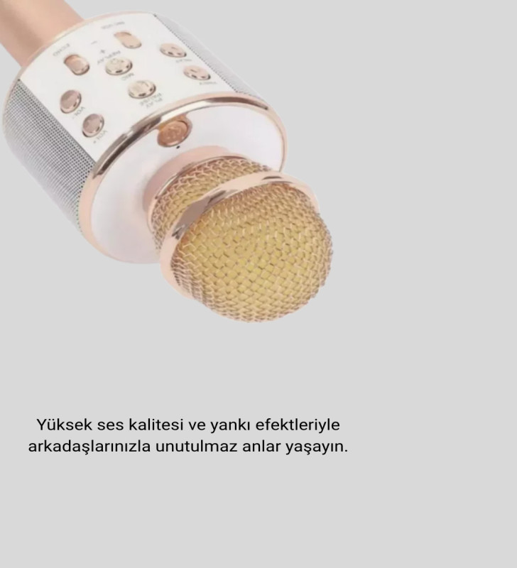 Kablosuz Karaoke Mikrofon USB AUX Destekli Parti ve Eğlence İçin - Lisinya