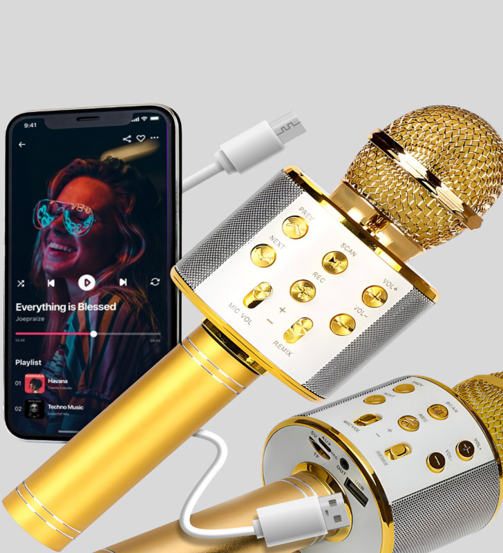 Karaoke Mikrofonu Bluetooth USB AUX Girişli Yankı Efektli - Lisinya