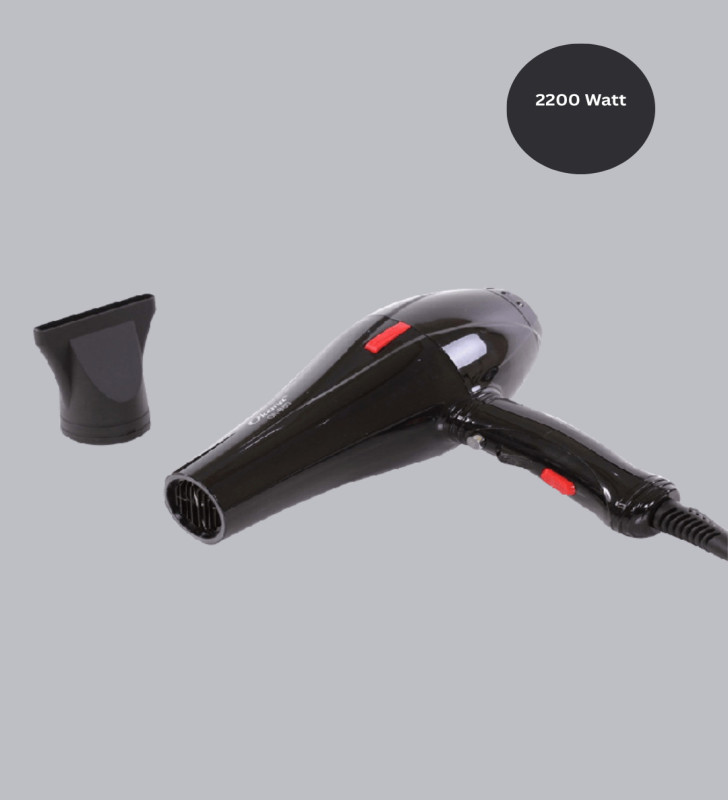 2200 Watt Profesyonel Saç Kurutma Makinesi AC Motorlu Yüksek Performanslı - Lisinya
